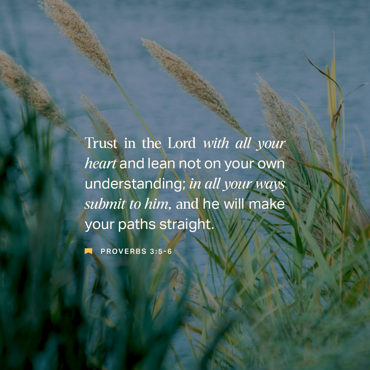 Applying Proverbs 3:5-6 to your daily life transforms it from a "memory verse" into a "manual for living."